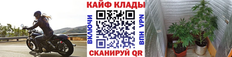 Купить APVP Меф АМФ Гашиш Марихуана Cocaine Камызяк