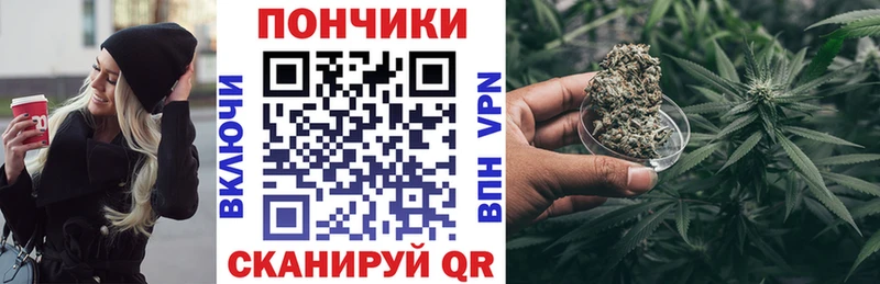 Марихуана сатива Купить где Камызяк